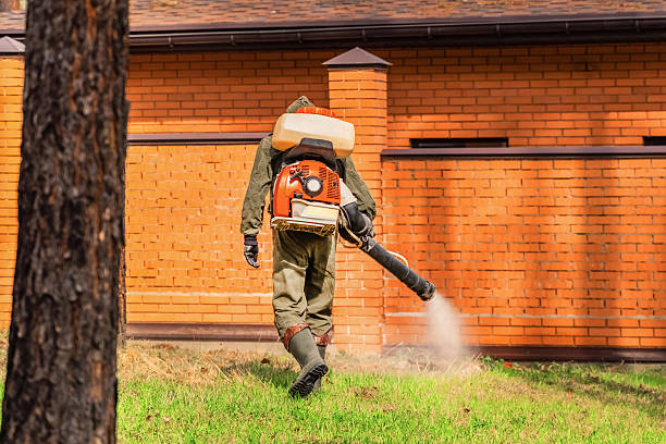 Top rated local Wasp Removal specialists in Thomson, GA